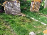 image of grave number 685211